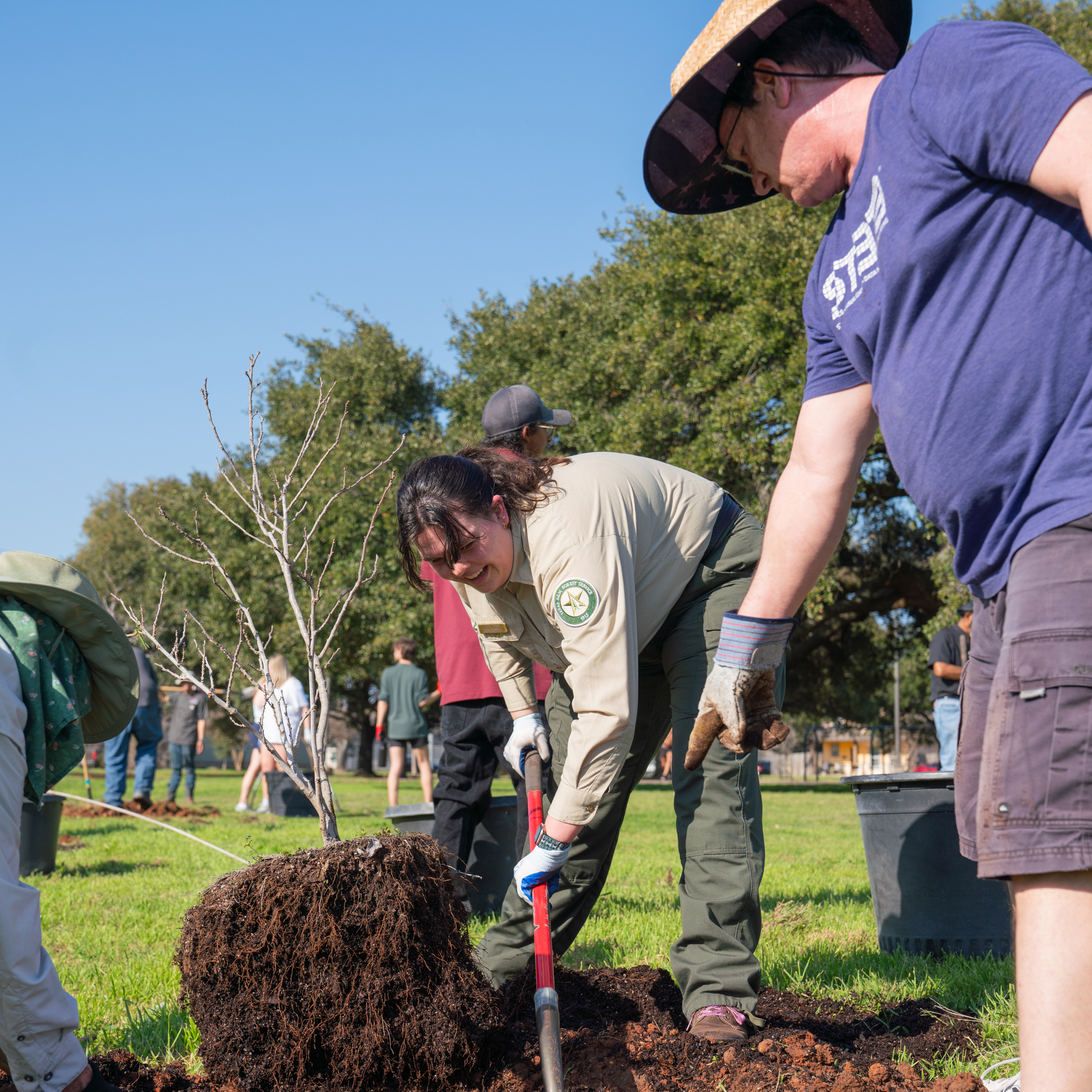 Texas A&M Forest Service is offering $12.4 million in grant funding through the Community Forestry Grants program to enhance community forestry initiatives throughout the state.